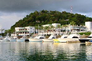 A marina with several boats docked, a building with a green roof, and a hill with trees in the background.