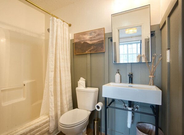 A bathroom with a toilet, a sink, a shower curtain, and a painting on the wall. - Southern Travel - Charming 3 BR (Moultrie)