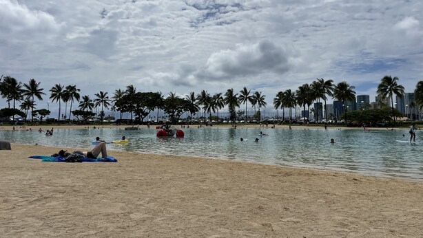 A beach with palm trees and a city skyline in the background. - Free parking, chocolate covered MACO nuts/waters, F/Kitchen, GYM, AC, WiFi, pool (Honolulu)