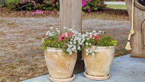A wooden porch with two large terracotta pots on a blue-painted ledge, surrounded by vibrant pink and white flowers.