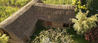 Little banana homestay