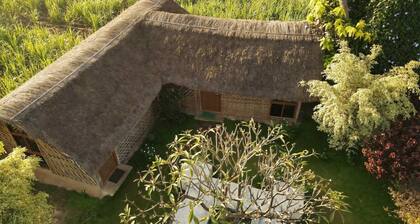 Little banana homestay