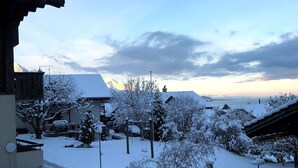 A snowy residential area with houses, a clear sky, and a distant view of a body of water. - Beatrice Garden by Interhome (Leissigen)