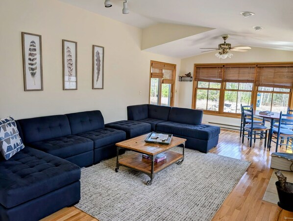 Smart TV, fireplace, books