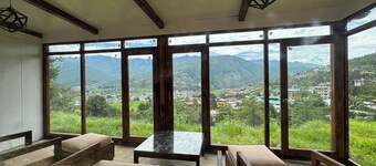 Dzi Pema