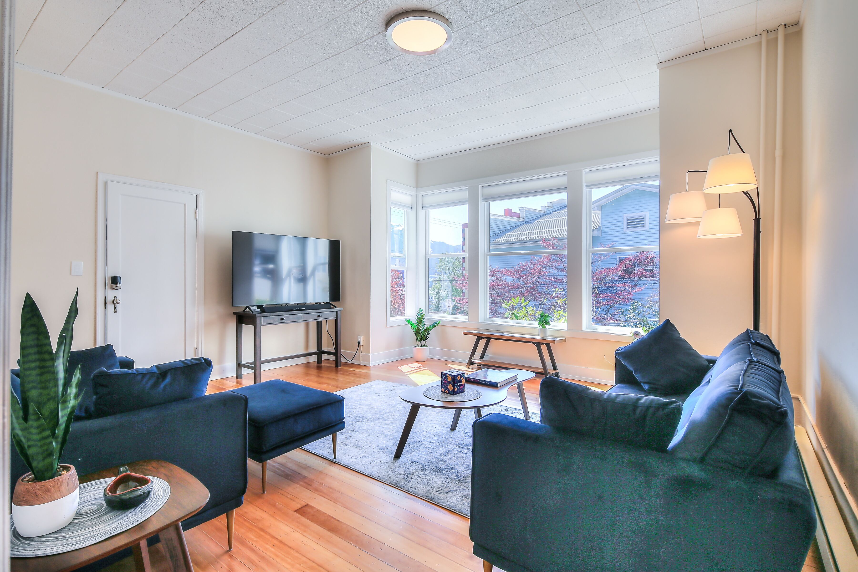 Cozy 1-bedroom apartment in enchanting downtown Juneau 