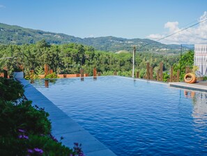 A rectangular infinity pool with a clear view of a mountainous landscape in the background.