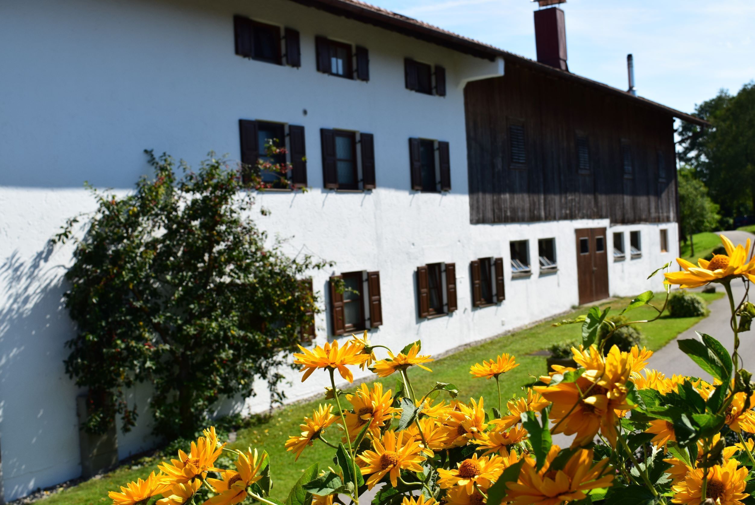A white building with multiple windows and a brown roof.