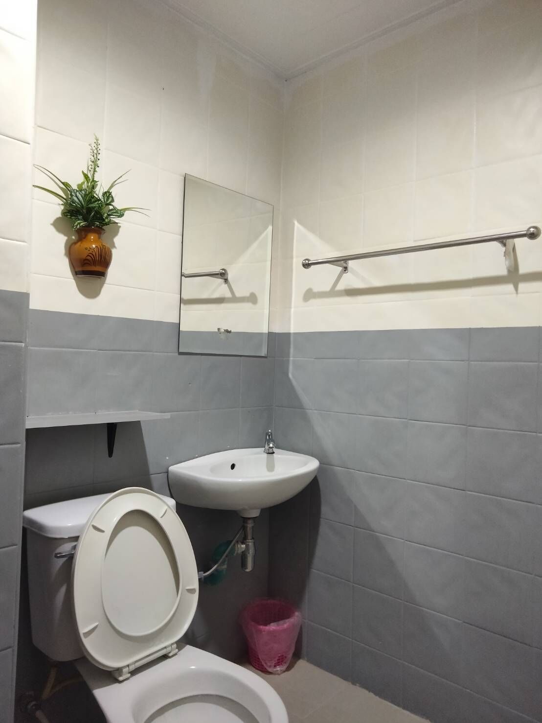 Une salle de bain équipée d’un WC, d’un lavabo, d’un miroir, d’un porte-serviettes et d’une plante en pot.