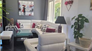 TV connectée, cheminée, livres, chaßne hi-fi