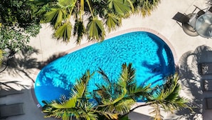 A pool area with a clear blue pool, surrounded by palm trees and a tiled floor. - Siesta Key Village, Pool, Beach Access 4-min. Walk, 3bdr (Siesta Key)