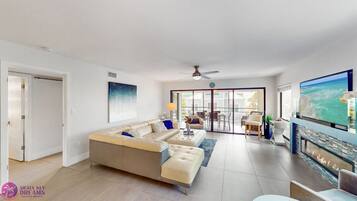 TV connectée, cheminée, livres, vidéothÚque