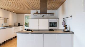 Frigorífico, microondas, horno y placa de cocina