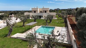 Eine großzügige, moderne Villa mit Swimmingpool, umgeben von Olivenbäumen und einem gepflegten Rasen.