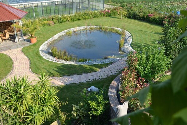 المنطقة المحيطة بالمنشأة