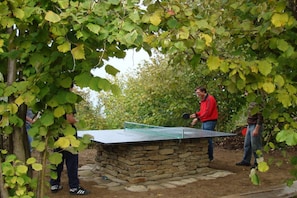 Una mesa de ping pong de piedra rodeada de árboles.