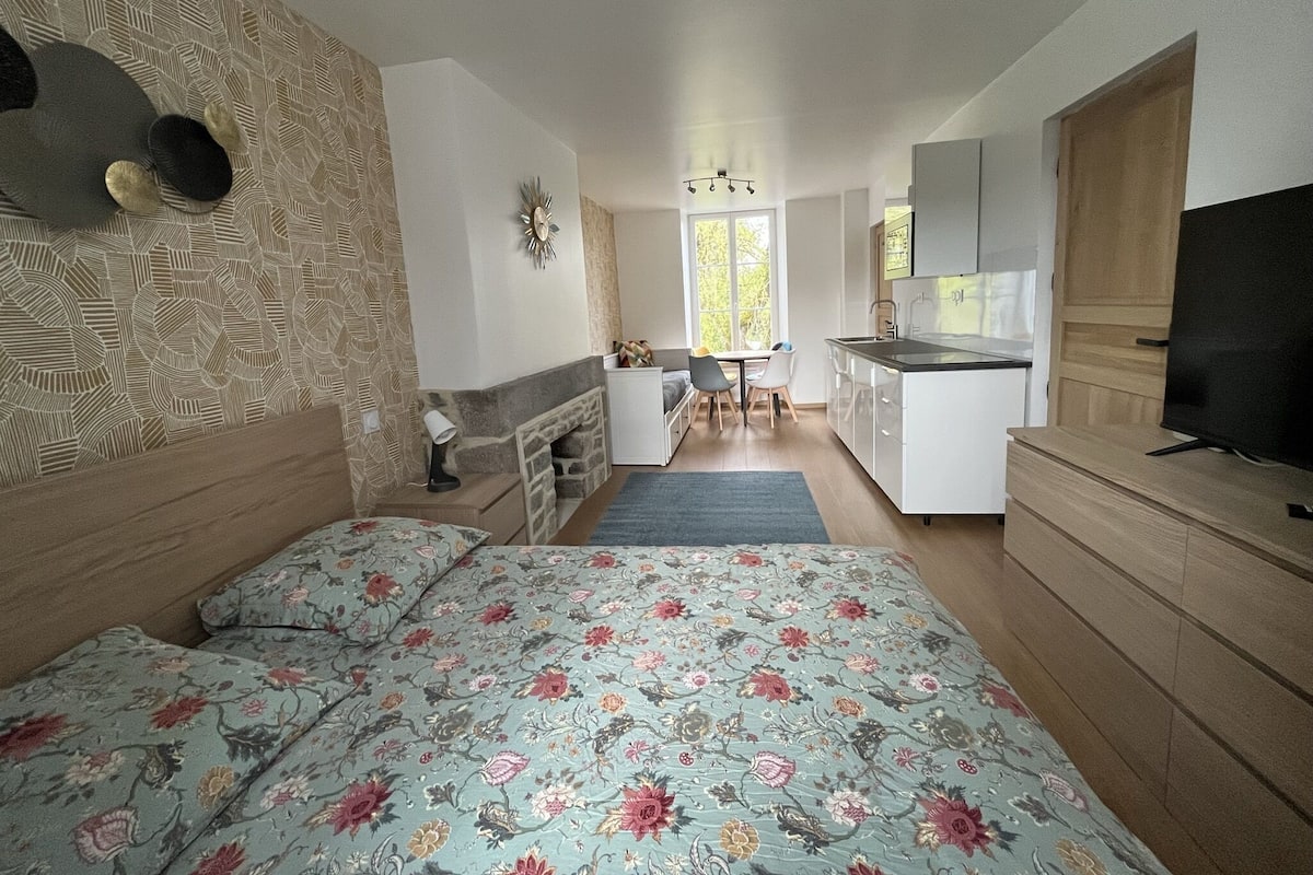 A compact room with a bed, a small kitchenette, a dining area, and a TV.