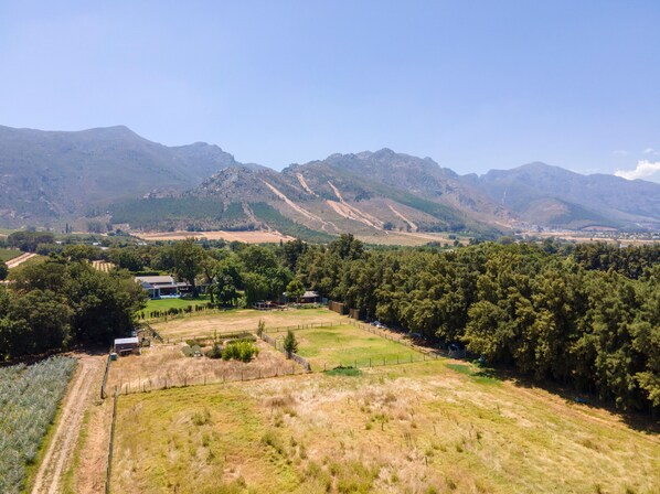 Property grounds - Franschhoek Cottages (Franschhoek)