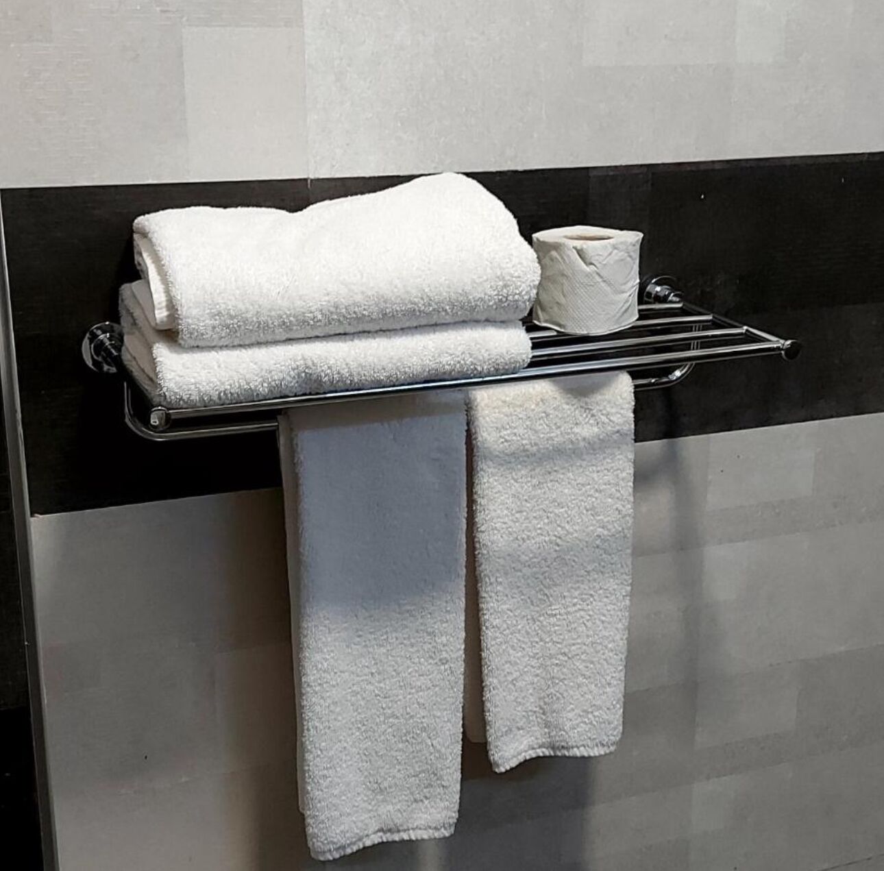 A bathroom with a towel rack holding two folded towels and a roll of toilet paper.