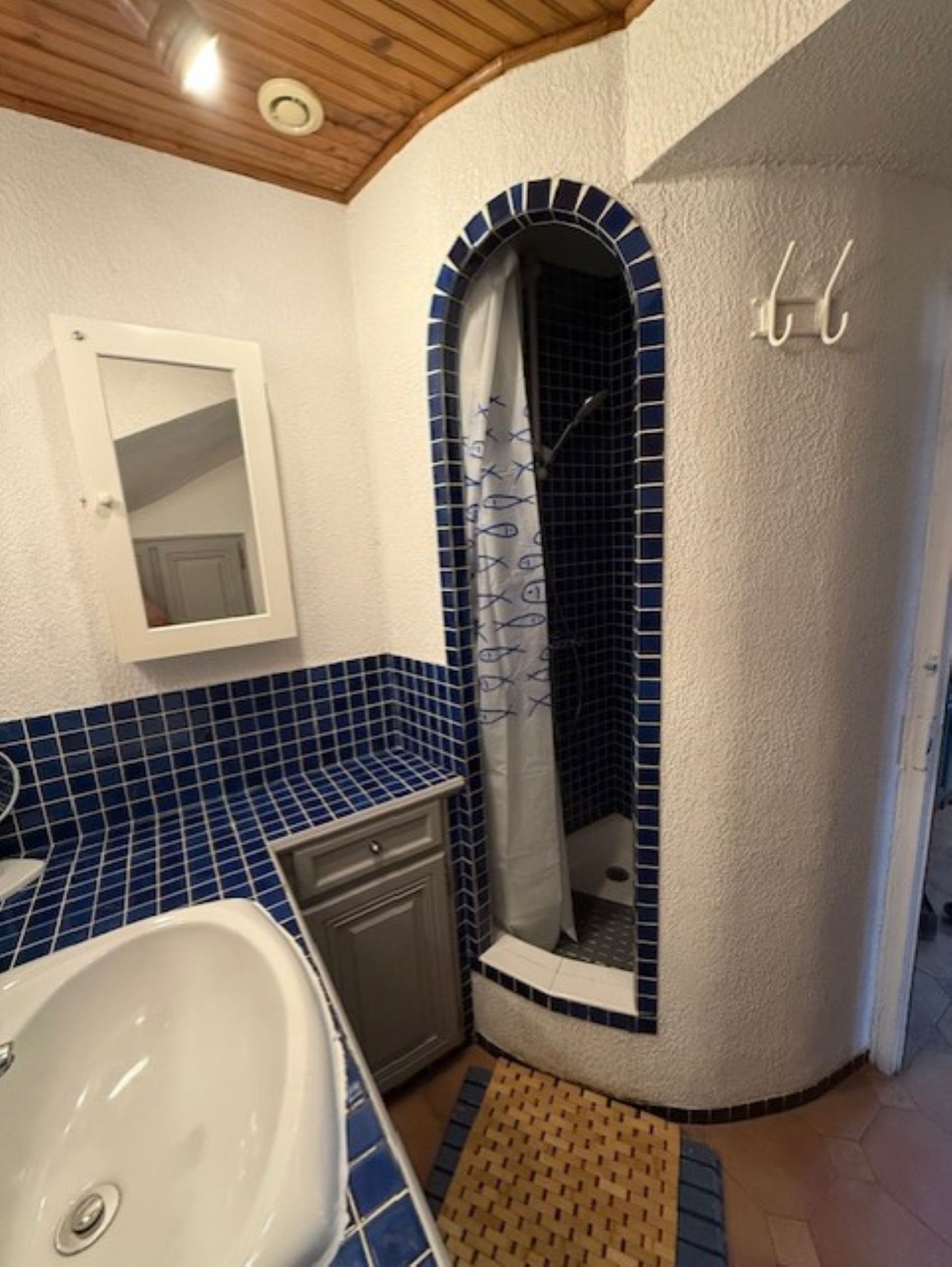 Shower, hair dryer, soap, toilet paper