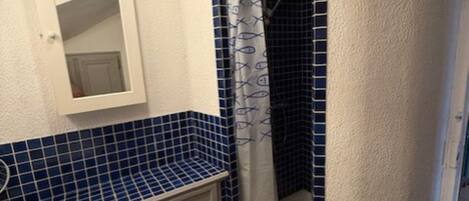Shower, hair dryer, soap, toilet paper