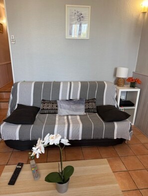 TV, DVD player - Joli T2 Meublé Bord de mer vue Magnifique Baie de la Ciotat (La Ciotat)