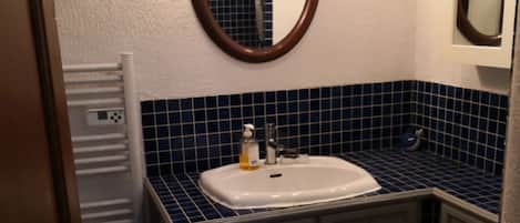 Shower, hair dryer, soap, toilet paper