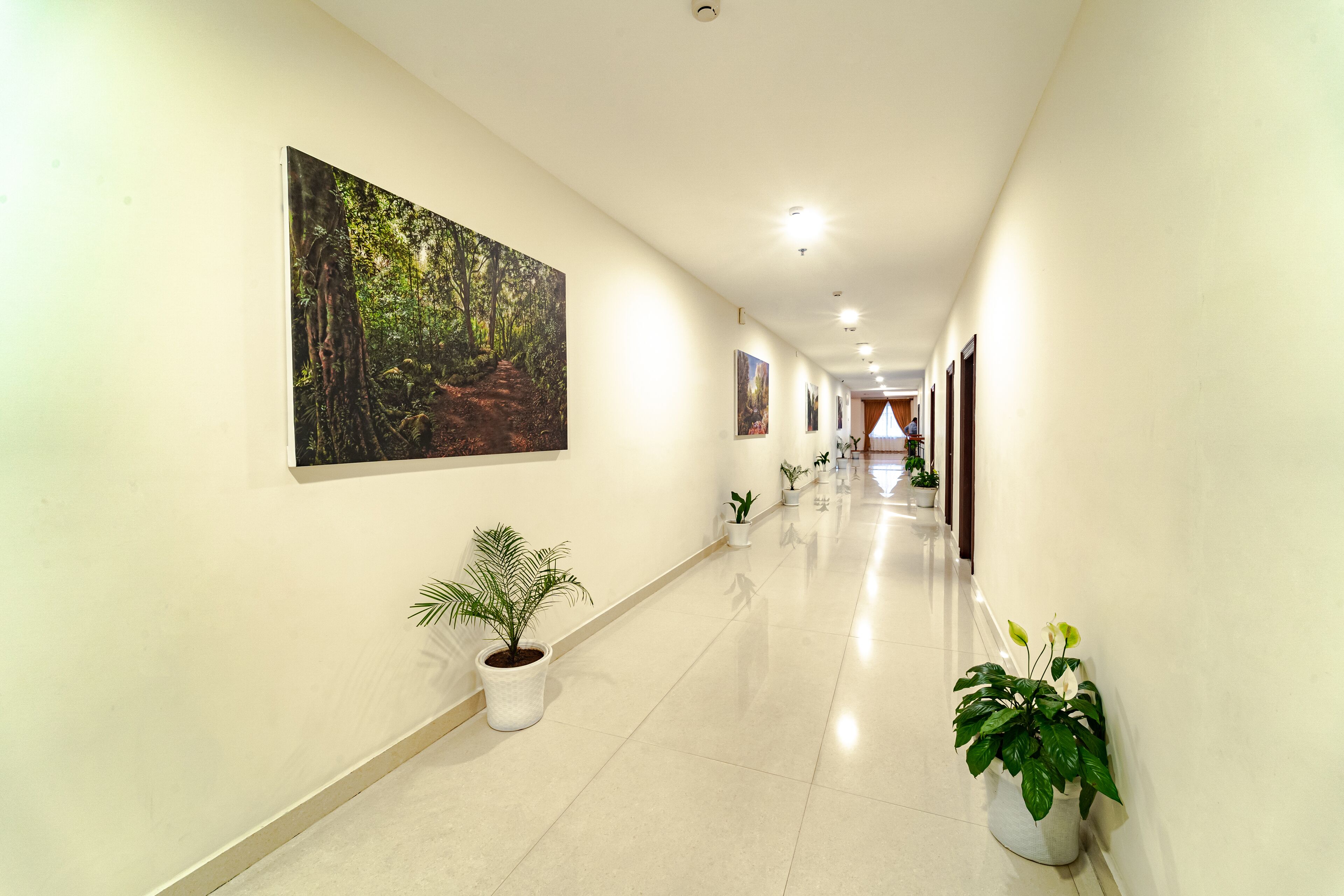 A long, well-lit hallway with white walls, several potted plants, and framed pictures on the walls.