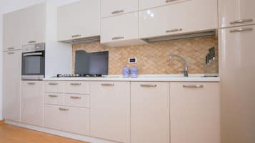 Fridge, oven, stovetop, dishwasher