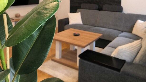 A modern living room with a grey sofa, a wooden coffee table, and a large plant. - Cozy 1-bedroom apartment with WiFi, AC in enjoyable Ljubljana (Ljubljana)