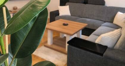 Cozy 1-bedroom apartment with WiFi, AC in enjoyable Ljubljana