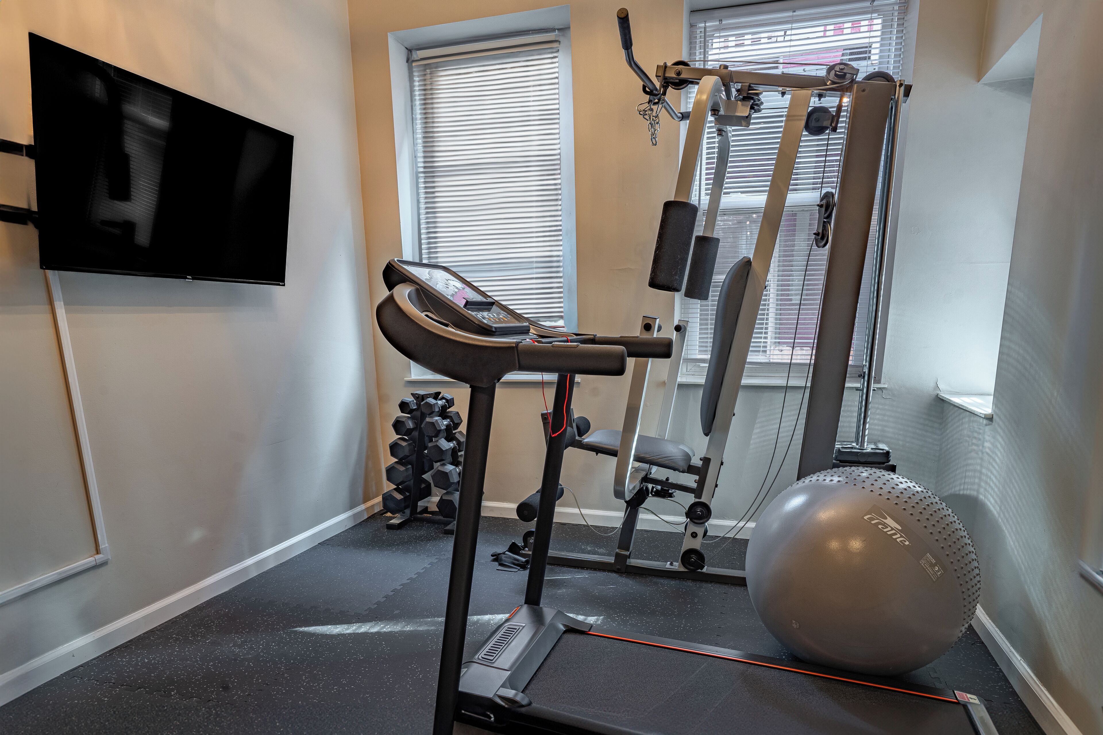 A gym with a treadmill, weight machines, and exercise balls.