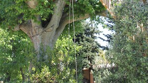 Une cabane dans les arbres avec une terrasse en bois et une échelle en corde.