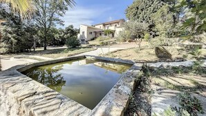 A courtyard with a small pond, surrounded by trees and a building with a sloped roof. - Maison Familiale Avec Piscine et Magnifique Jardin, Sud de la France (Piolenc)