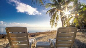Two beach chairs facing a calm sea with a clear sky and palm trees. - The Nautilus on the Ocean in Grassy Key 4 bed 3 bath with private pool, Hot Tub and oceanfront, 2 kayaks included (Marathon)