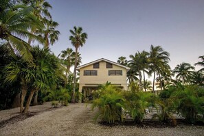 Uklassifisert bilde, 2 av 50, knapp