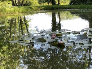 Property grounds - Authentic Large Property in the Heart of Perche, Peacefull Location, Pool, Park (Longny les Villages)