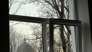 Una ventana con vista a un edificio con cúpula y árboles desprovistos de hojas.