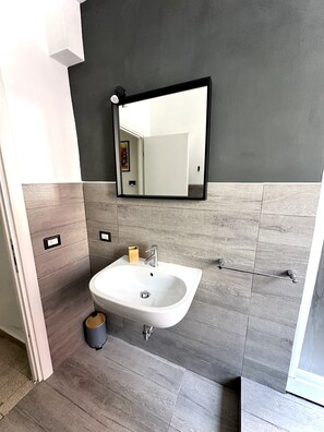 Shower, hair dryer, bidet, towels