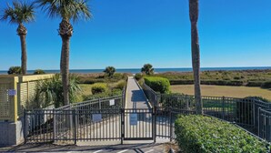 A pathway leading to a beach area with palm trees and a clear blue sky. - Ocean View, Top Floor Condo in Hilton Head (Hilton Head Island)