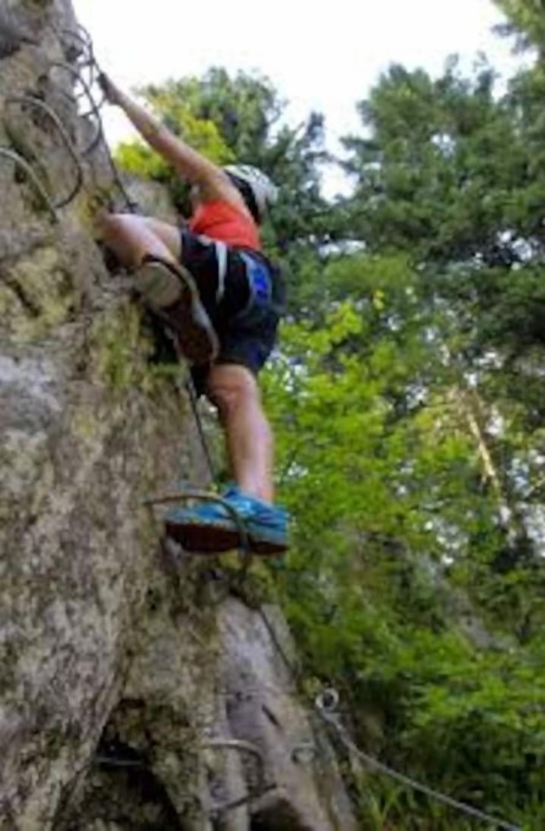 Une personne qui escalade une paroi rocheuse, équipée du matériel d’alpinisme nécessaire.
