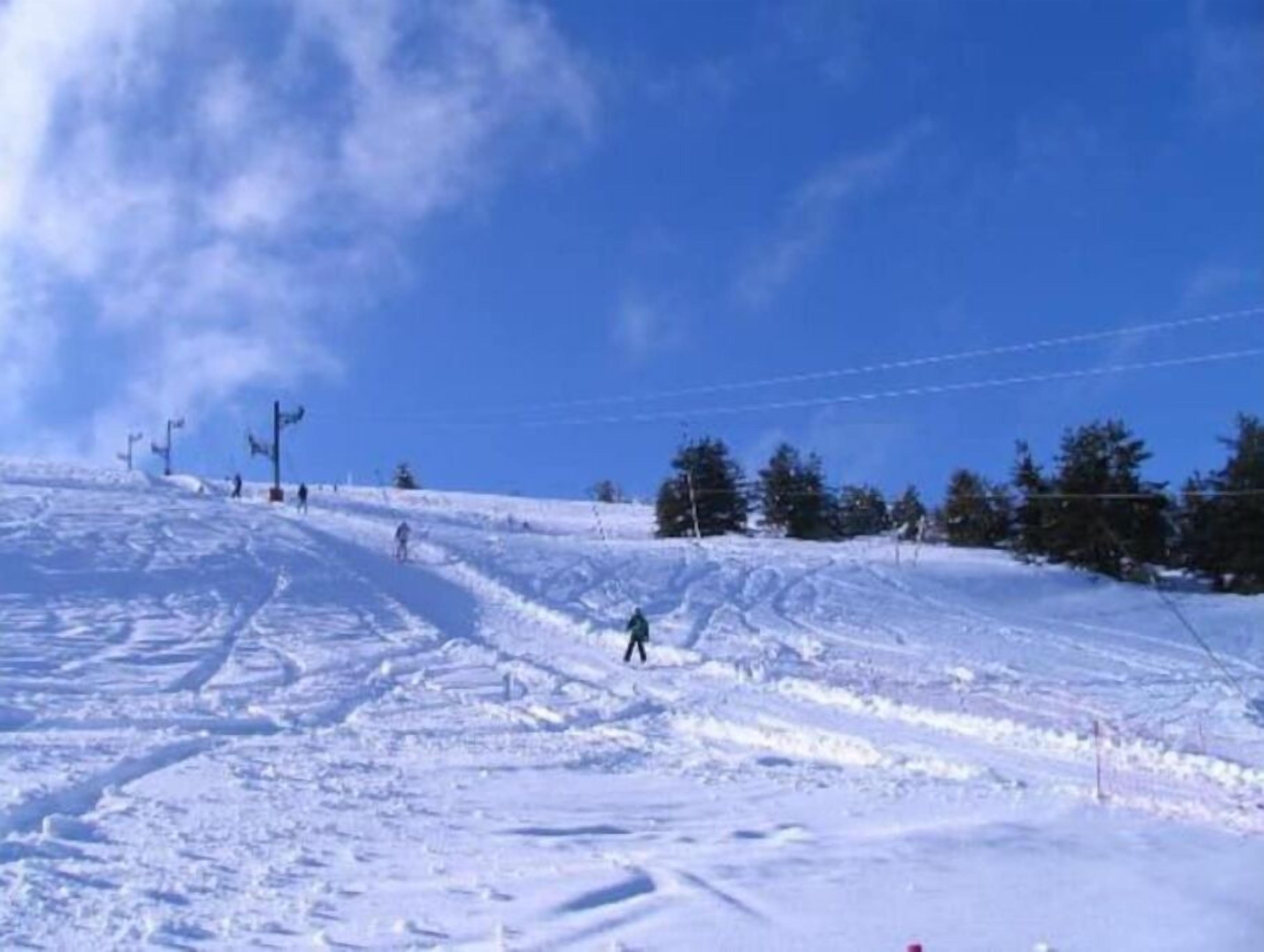 Snø- og skisport
