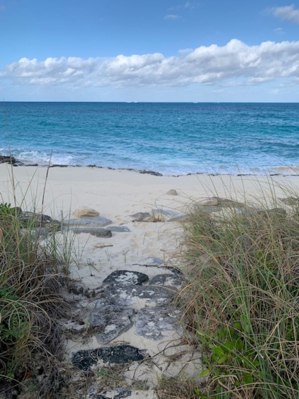 On the beach, sun loungers, beach towels