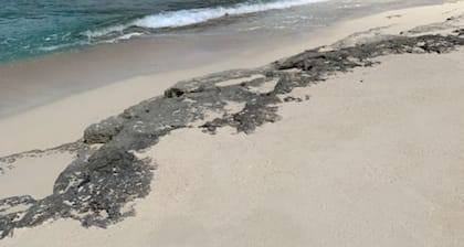 Luxury/ cozy 2-bedroom apartment directly on beach WiFi, AC, desk, full kitch
