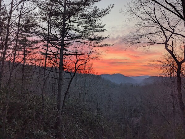 A forested landscape with a sunset. - Spectacular mountain views on the back deck! Waterfalls, hike, bike kayak nearby (Rosman)