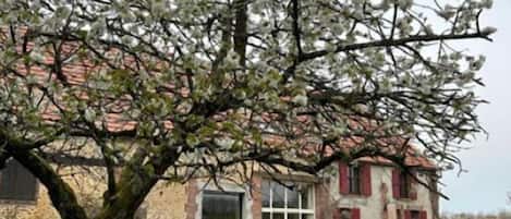Eksteriør