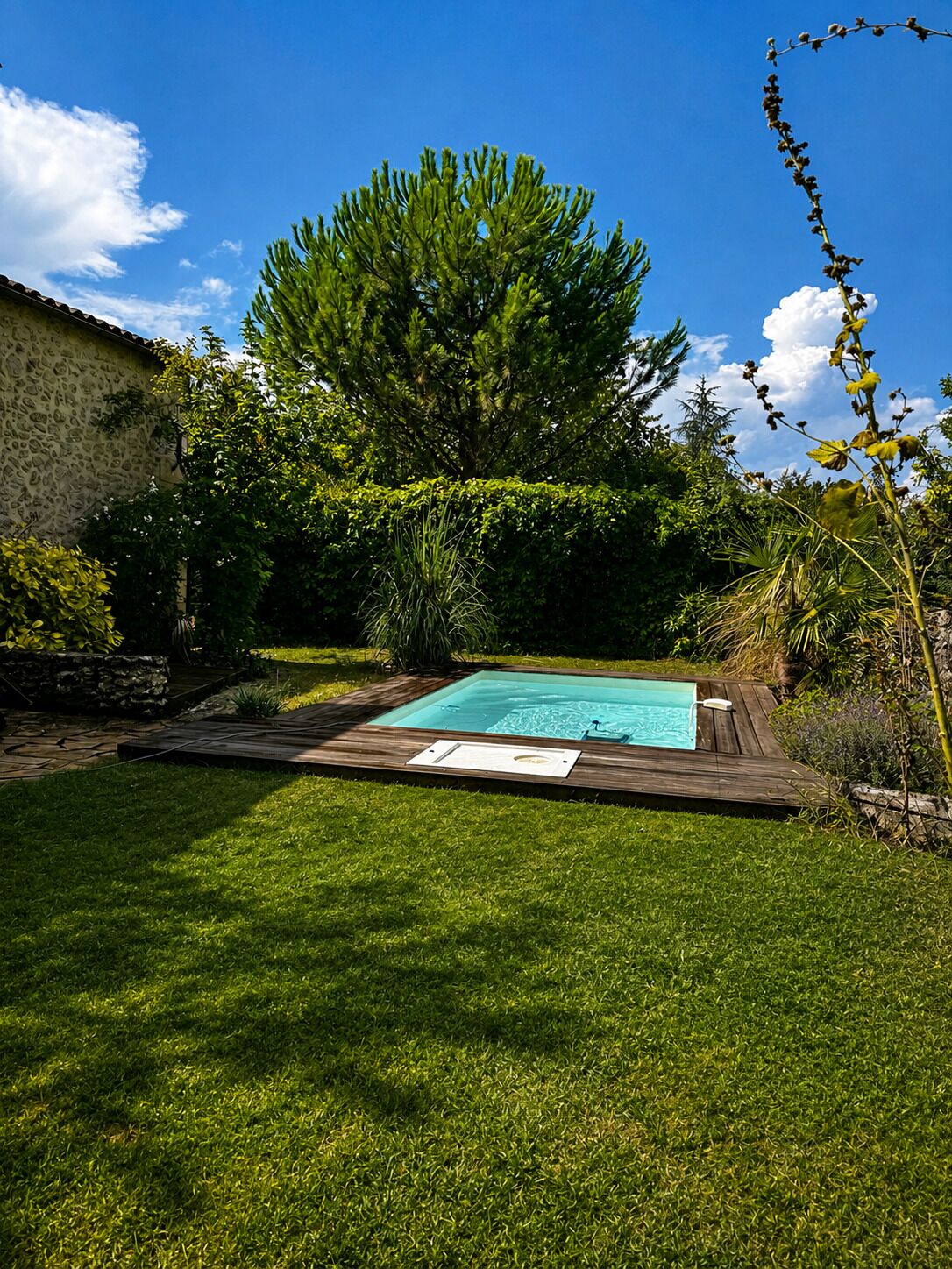 Una piscina rodeada por un césped cuidado y diferentes árboles.