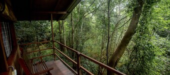 Inn On The Tree Eco Resort Sigiriya