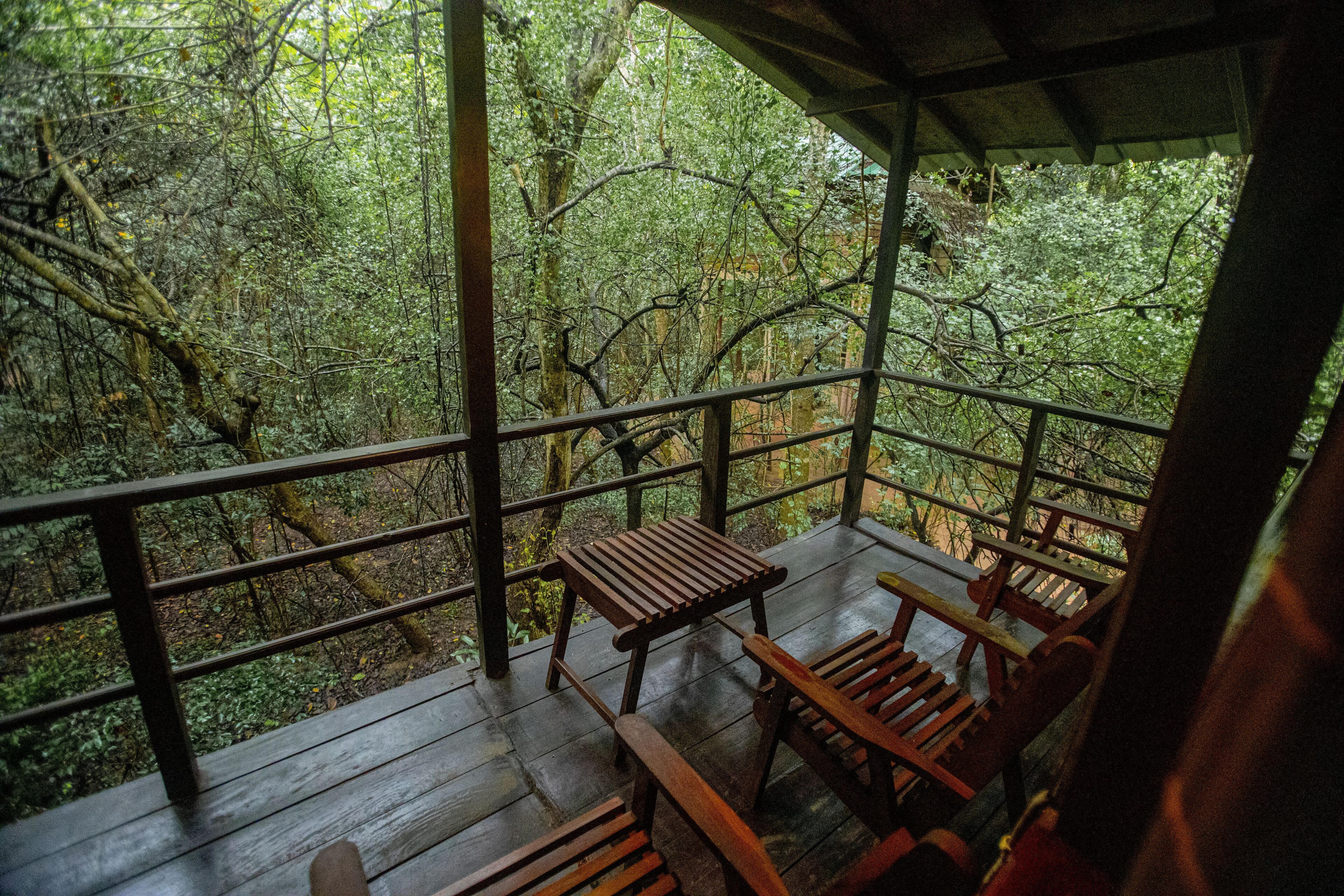 Nhà trên cây dành cho gia đình | 1 phòng ngủ 