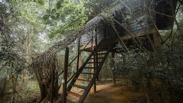 Family Tree House | 1 bedroom